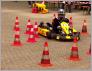 Skjell Allmann Video 1