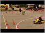 Skjell Allmann Video 2